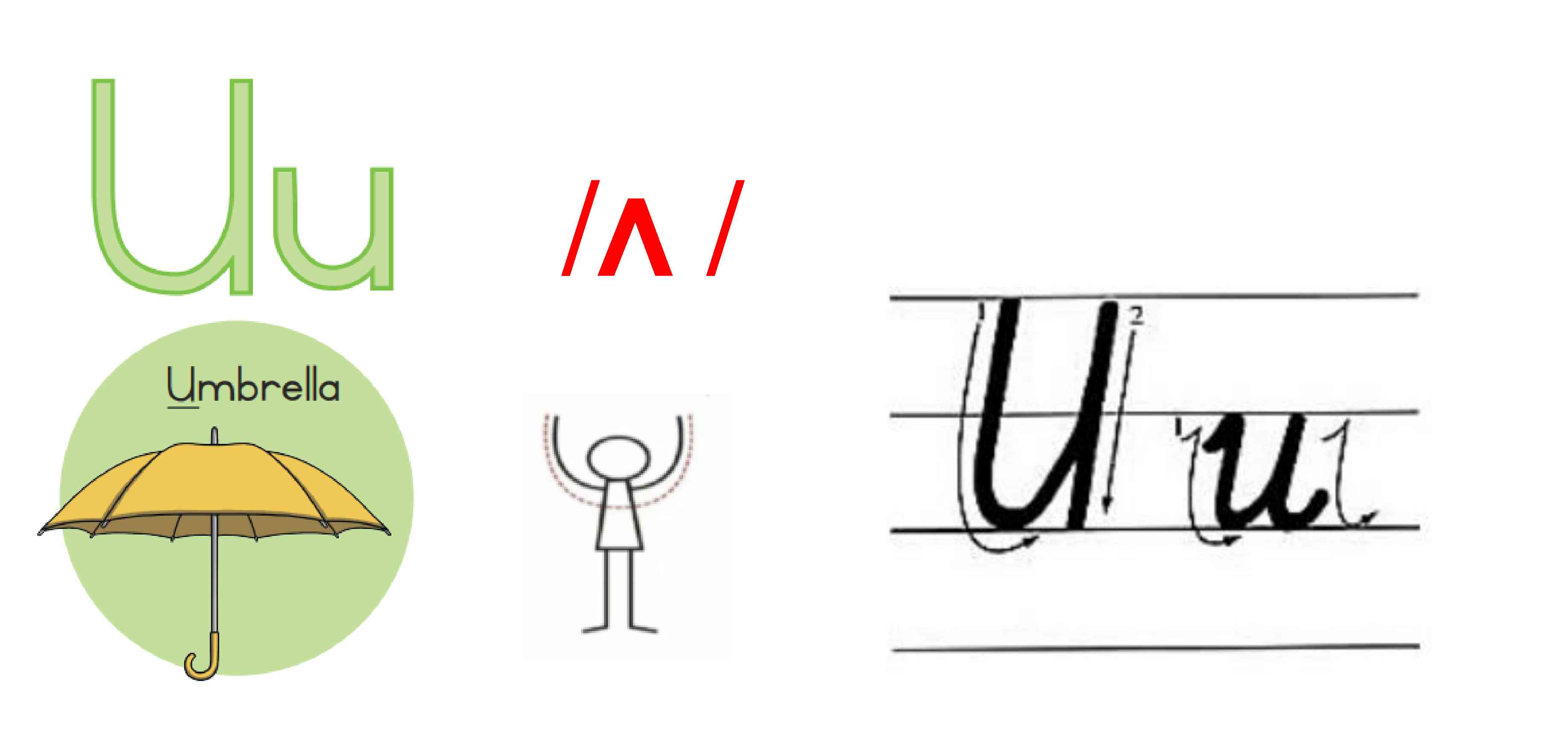 U